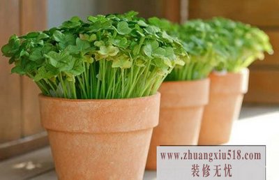 滨մ̨