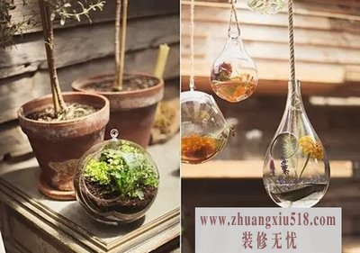听说你家没地方种花？可能吗？