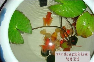 家居装修帮你轻松驱蚊驱虫