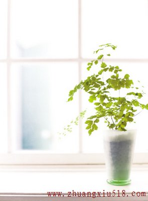 植物