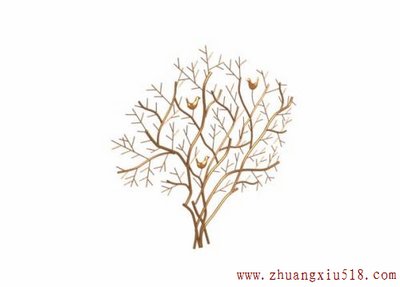 和小编学装修：拼贴出一面独特的墙面