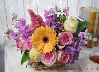 鲜花效果图