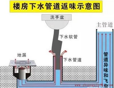 抛掉烦恼教你一次彻底解决卫生间臭味问题