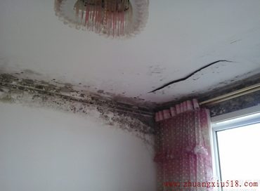 墙面发霉
