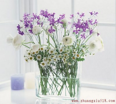 ڼˣעⰲȫҾӲ