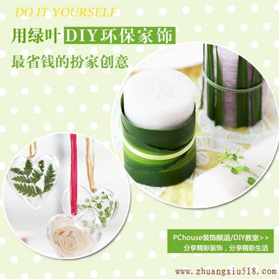 最省钱的扮家创意 用绿叶DIY环保家饰