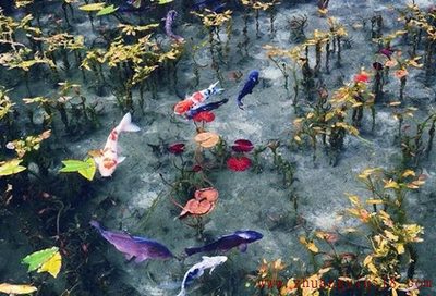 日本梦幻池塘