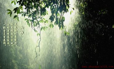 雨水节气到来 家居装修得注意这三个问题