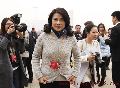 格力拟购珠海银隆进军新能源 或借力推进节能家居