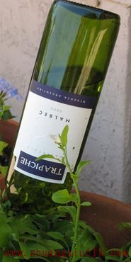 创意家居：别扔掉葡萄酒瓶!我来教你怎么用