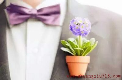 Ҿӣ10ִҾӣDIYСɭ!
