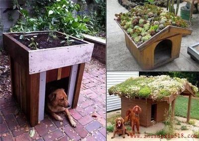 Ҿӣ35DIY!Ȥô?