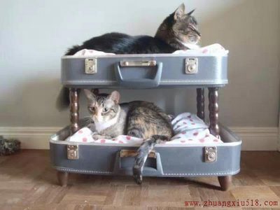 Ҿӣ35DIY!Ȥô?