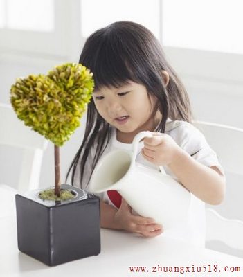家居植物摆放风水 助你财运亨通事业宏图