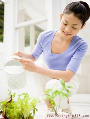 家居植物摆放风水 助你财运亨通事业宏图