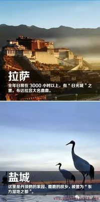 中国最新最全的“洗肺”城市榜单出炉,你家有入榜单吗?