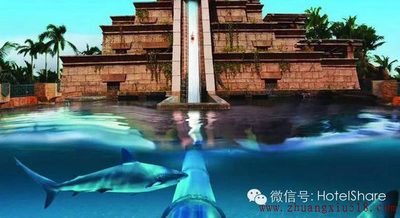 井柏然与郑爽同去的水下乐园2.jpg