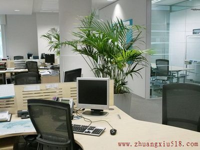 办公室植物风水