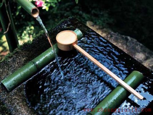 享受慵懒自由的田园生活