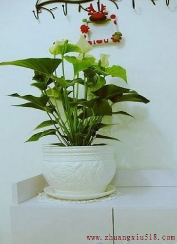 网购达人 2万装一室一厅宜家简约屋