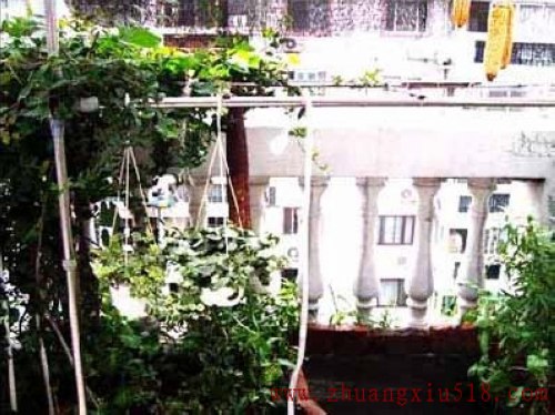 阳台效果图