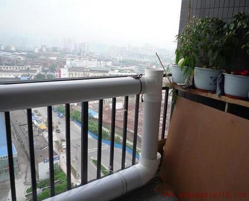 手把手教你在阳台种出够全家吃的菜!