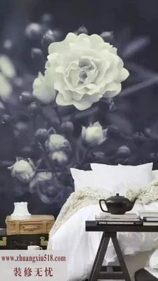 3DӾЧǽ ÿռøʸ