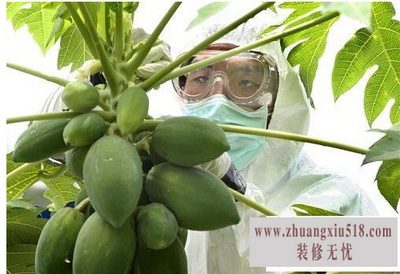 转基因食品的利与弊,让你与健康相伴
