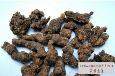 香附的功效与作用及食用方法