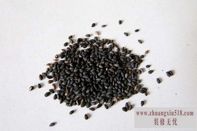黑芝麻产地 黑芝麻产地