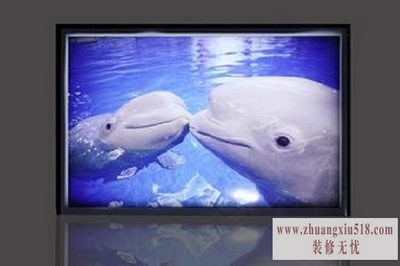 led书