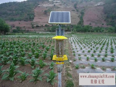 太阳能杀虫灯 太阳能杀虫灯