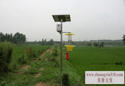 太阳能杀虫灯 太阳能杀虫灯