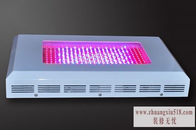 植物生长灯价格