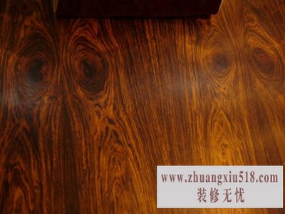 蒜果木.jpg