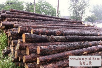 松木桩施工方案
