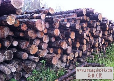 松木桩施工方案