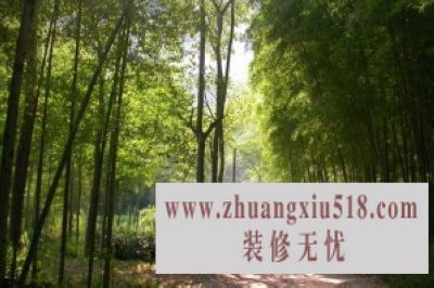 竹地板十大名牌排名
