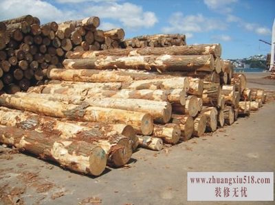 黑檀木与白象牙