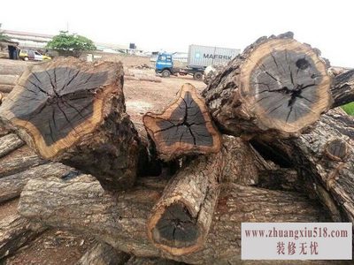 黑檀木与白象牙