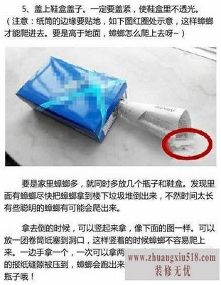 怎样灭蟑螂