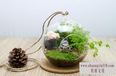 盆景花盆