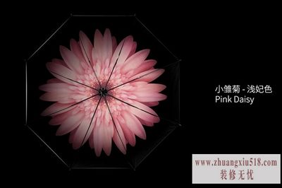 铅笔伞价格