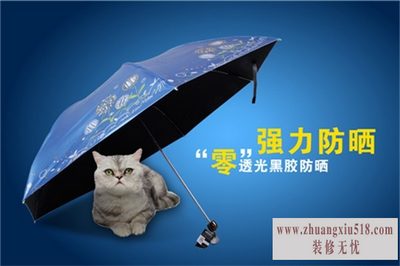 铅笔伞价格