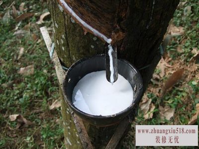 天然乳胶有味道吗
