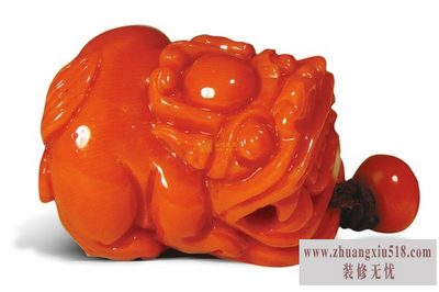 红珊瑚价格