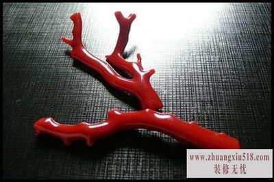 红珊瑚价格