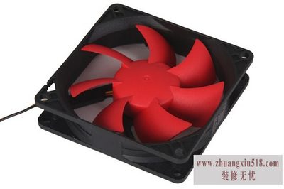캣mini