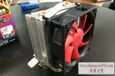 캣mini