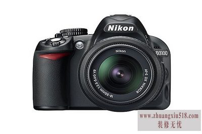 d3100˵